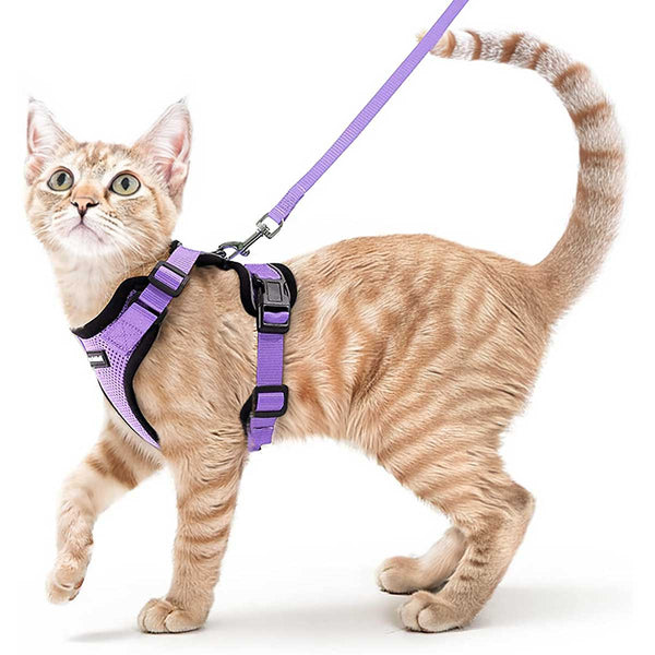 CAT-HARNESS-Light_Purple