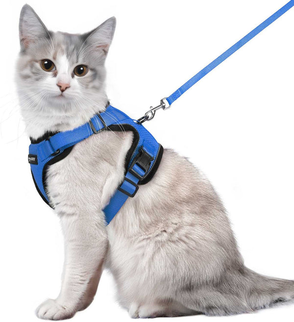 CAT-HARNESS-Medium