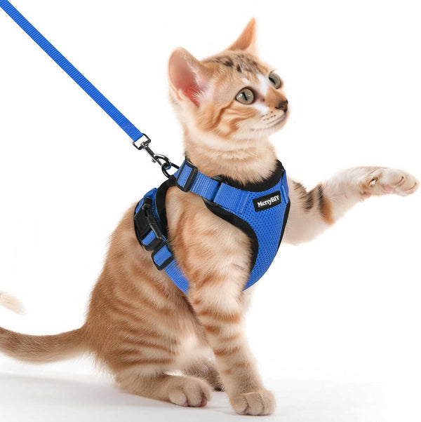 CAT-HARNESS-Navy-Blue