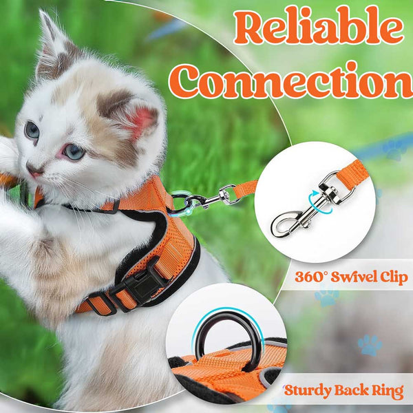 CAT-HARNESS