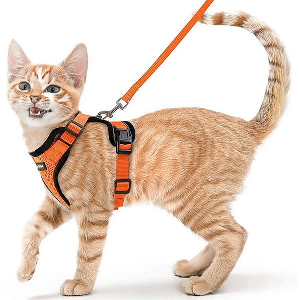 CAT-HARNESS-Orange