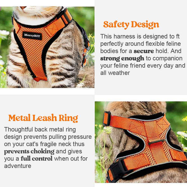 CAT-HARNESS-Orange