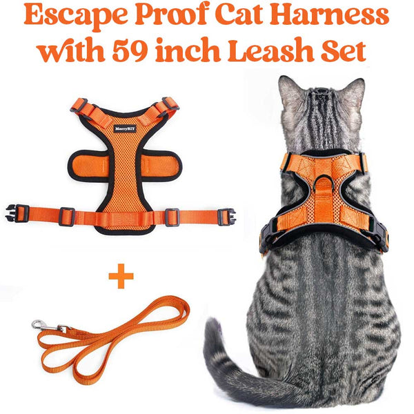 CAT-HARNESS-Orange