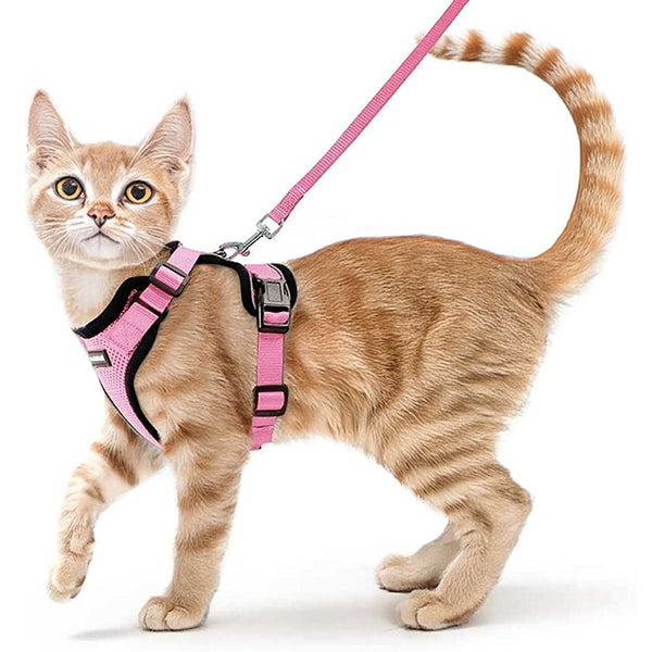 CAT-HARNESS-PINK