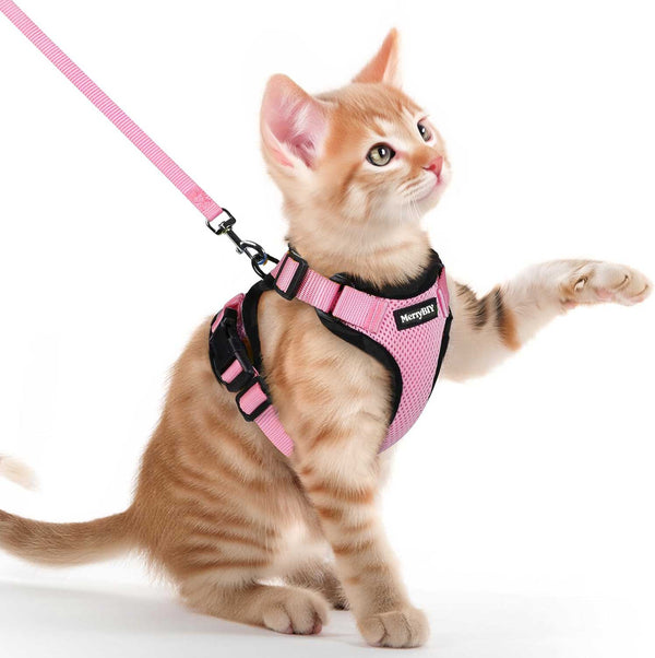 CAT-HARNESS-PINK