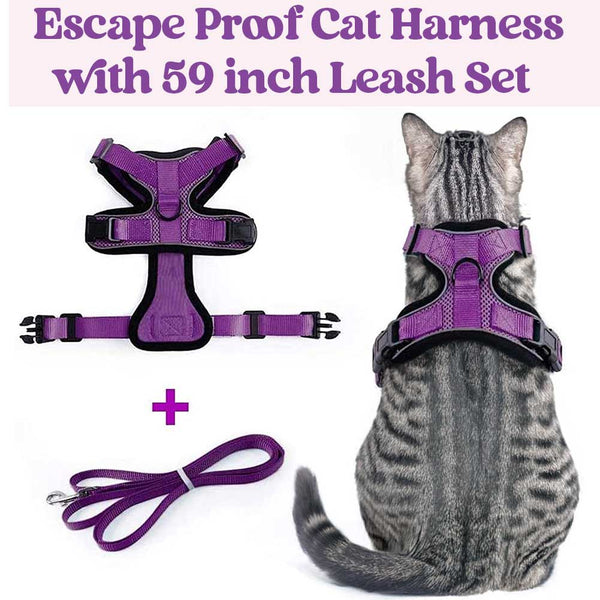 CAT-HARNESS-PURPLE