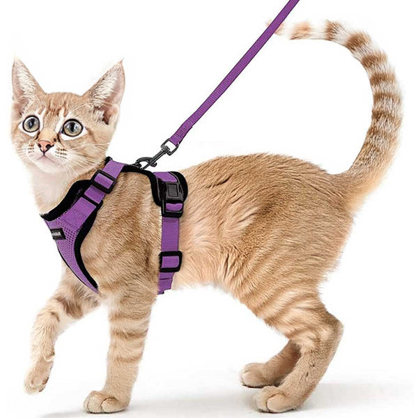 CAT-HARNESS-PURPLE