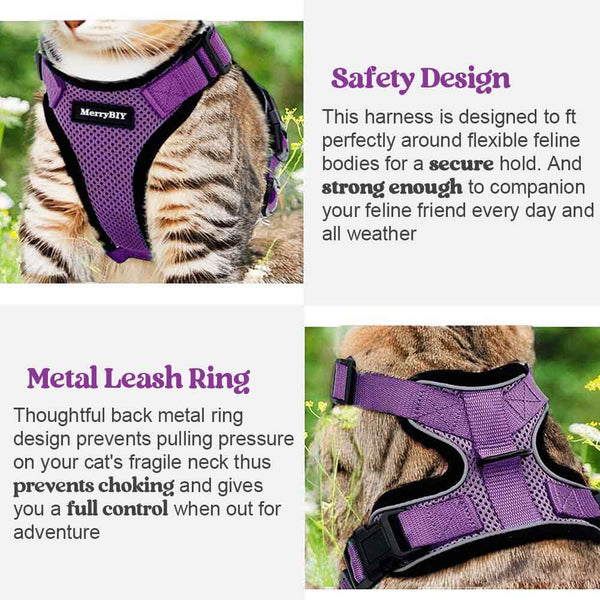 CAT-HARNESS-PURPLE