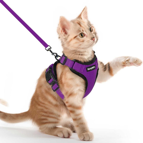 CAT-HARNESS-PURPLE