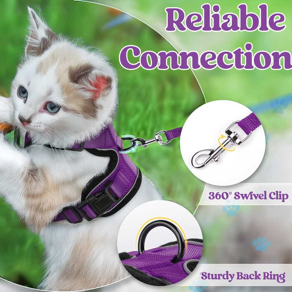 CAT-HARNESS