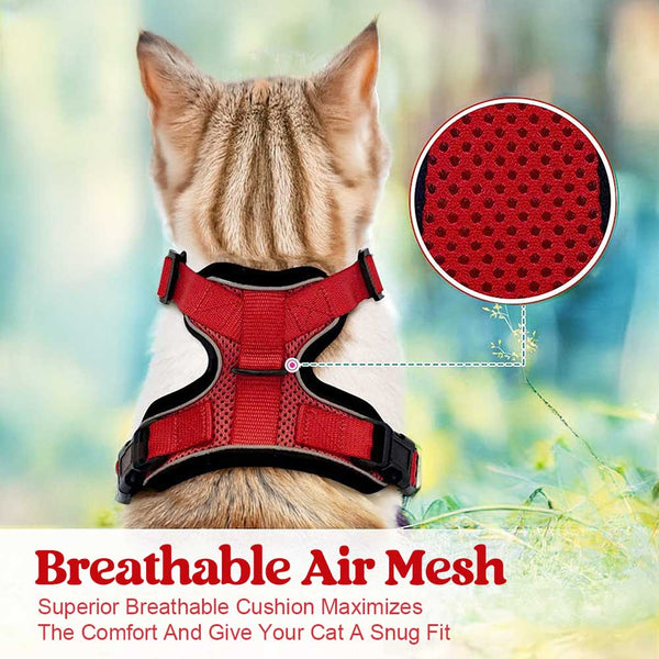 CAT-HARNESS Red