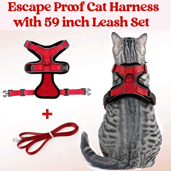 CAT-HARNESS-Red