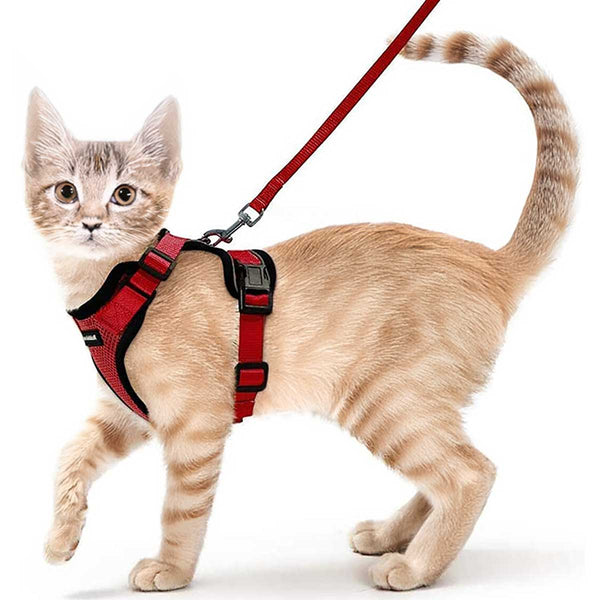 CAT-HARNESS-Red