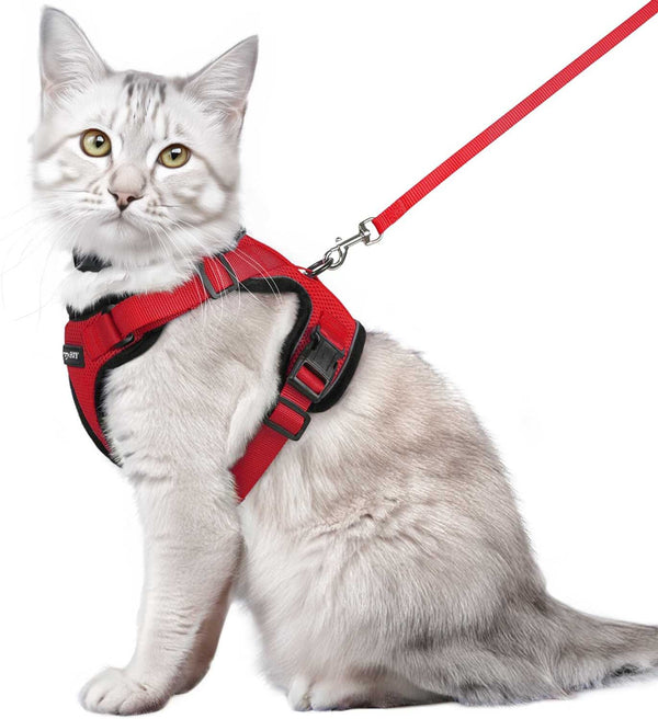 CAT-HARNESS-Medium