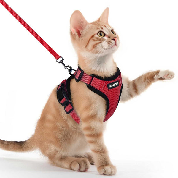 CAT-HARNESS-RED