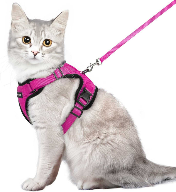 CAT-HARNESS-Medium