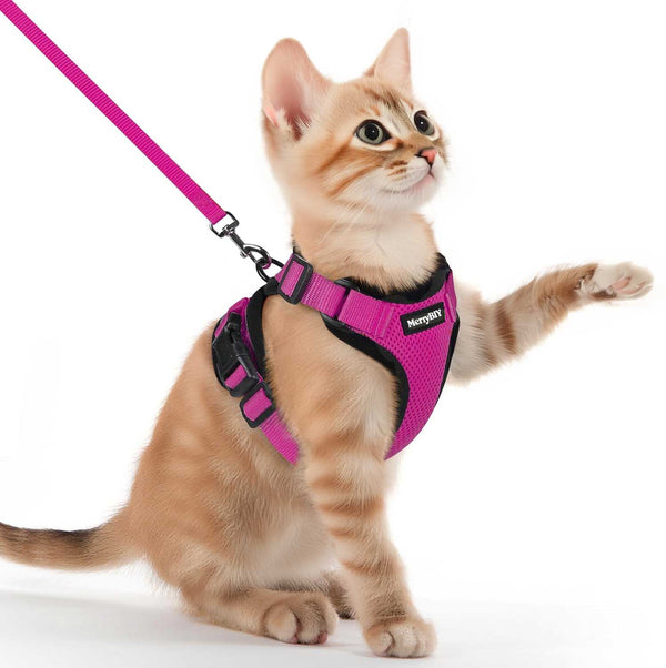 CAT-HARNESS-Rose-Red