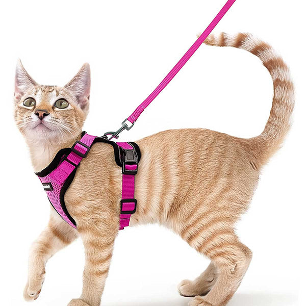 CAT-HARNESS-Rose Red