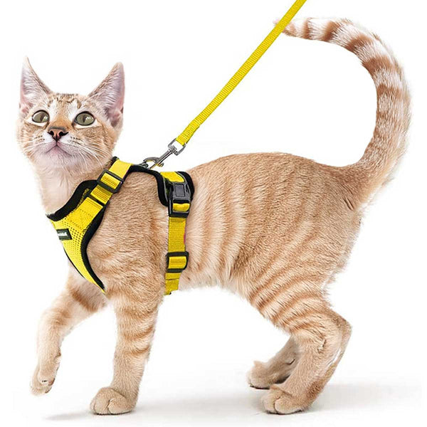 CAT-HARNESS-Yellow