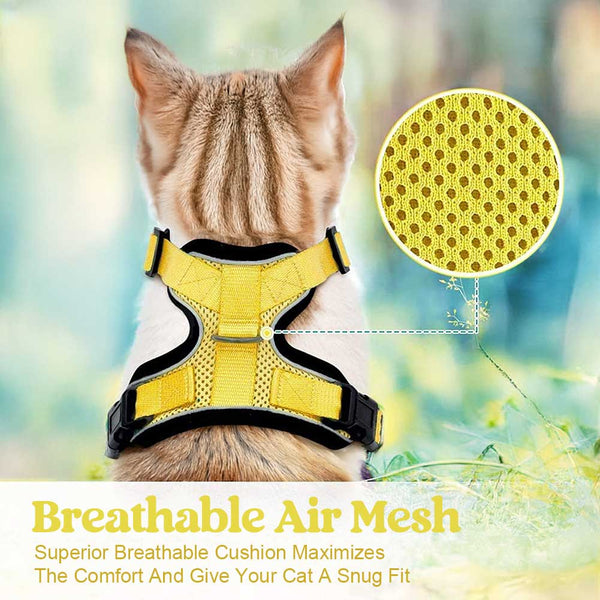 CAT-HARNESS-Yellow