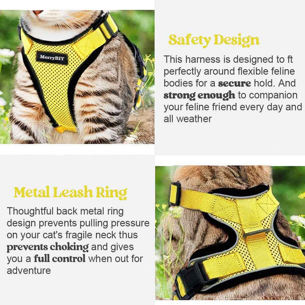 CAT-HARNESS-Yellow