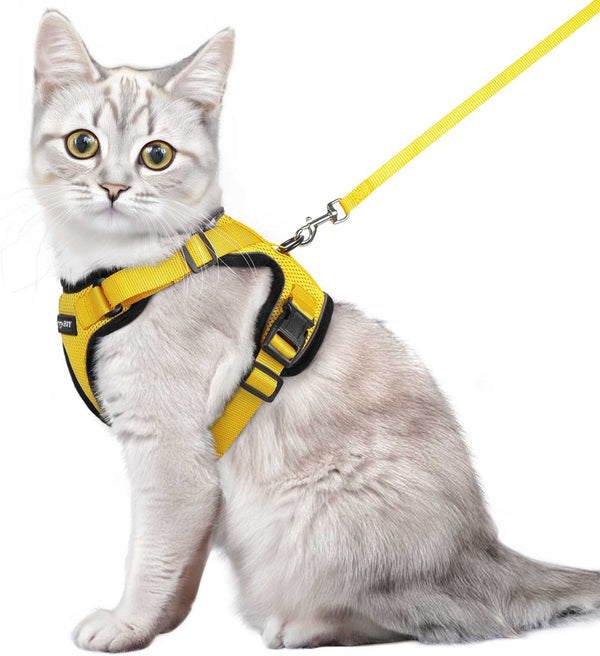 CAT-HARNESS-Medium