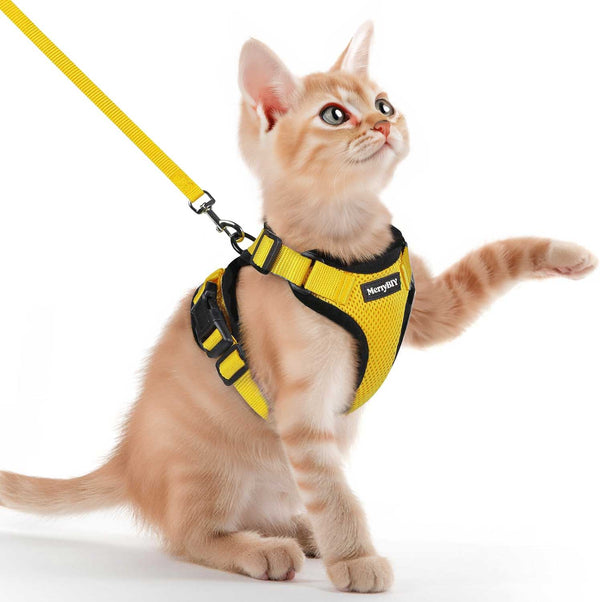 CAT-HARNESS-Yellow