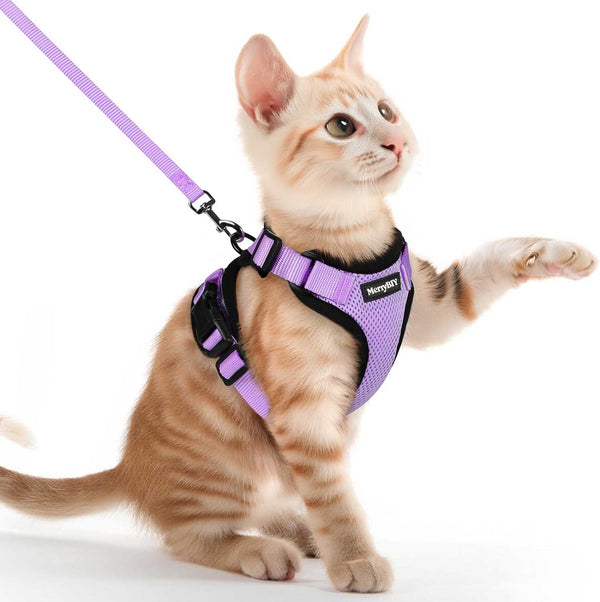 CAT-HARNESS-light-Purple