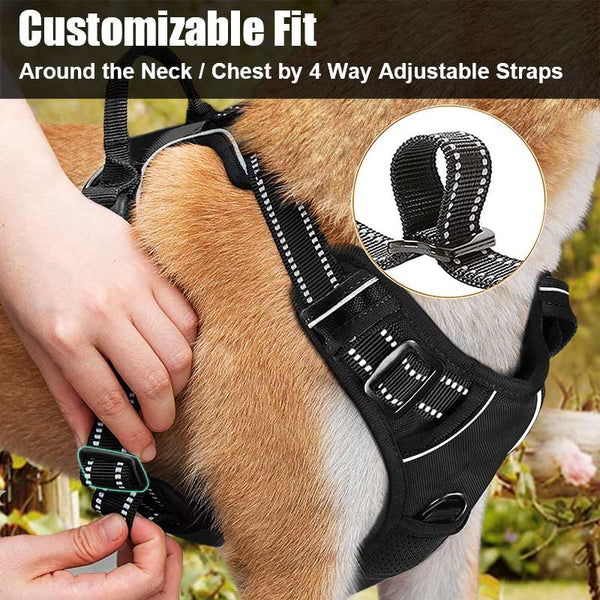 no pull dog harness customizable fit