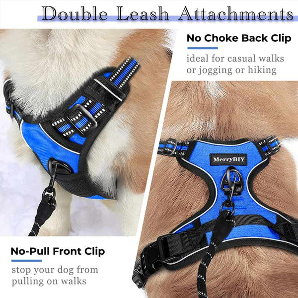 Blue Dog Harness Front Back Clip
