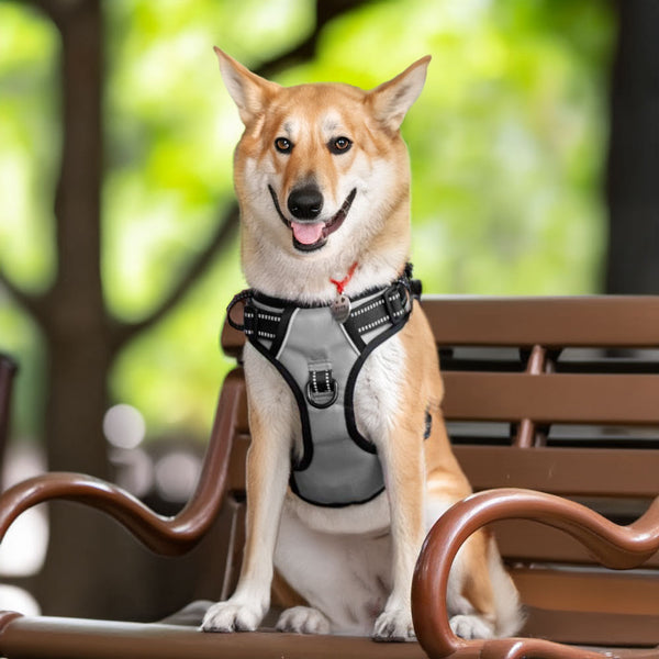 MerryBIY No Pull Dog Harness Adjustable Oxford Vest