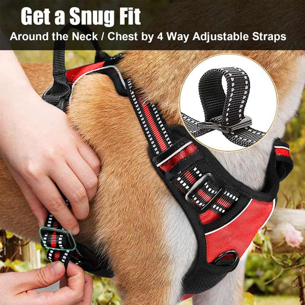 Red Dog Harness Adjustable Straps