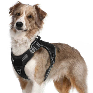 Black Tactical Dog Harness 