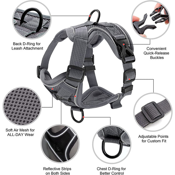MerryBIY No Pull Small Cat Dog Harness and Leash Set, Soft Mesh Padded Puppy Harness