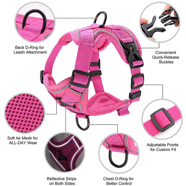 MerryBIY No Pull Small Cat Dog Harness and Leash Set, Soft Mesh Padded Puppy Harness