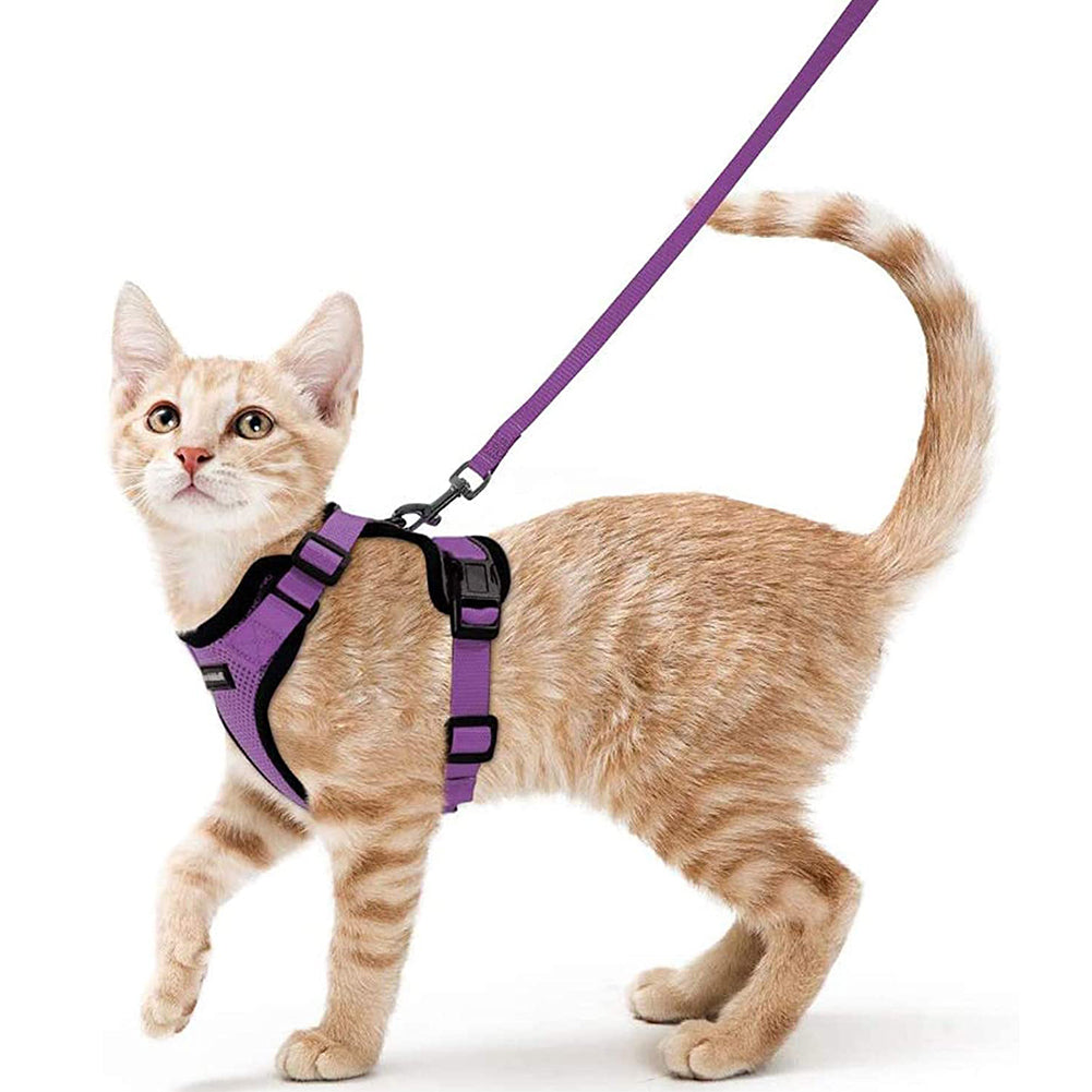 MerryBIY Cat Harness and Leash Set for Walking Cat and Small Puppy Dog Harness