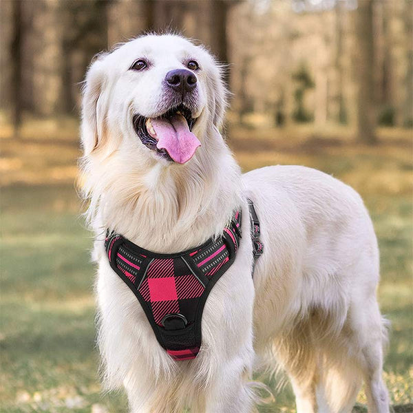 Dog Harness Pink Black