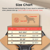 MerryBIY Dog Harness, No-Pull Pet Harness with Pet ID Tag, No Choke Front Lead Dog Reflective  Adjustable Harness for Small Medium Large Dogs