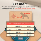 MerryBIY Dog Harness, No-Pull Pet Harness with Pet ID Tag, No Choke Front Lead Dog Reflective  Adjustable Harness for Small Medium Large Dogs