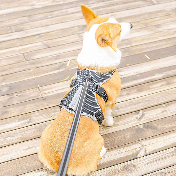 MerryBIY Multi-Use Dog Harness, Escape Proof No-Pull Adjustable Breathable Vest