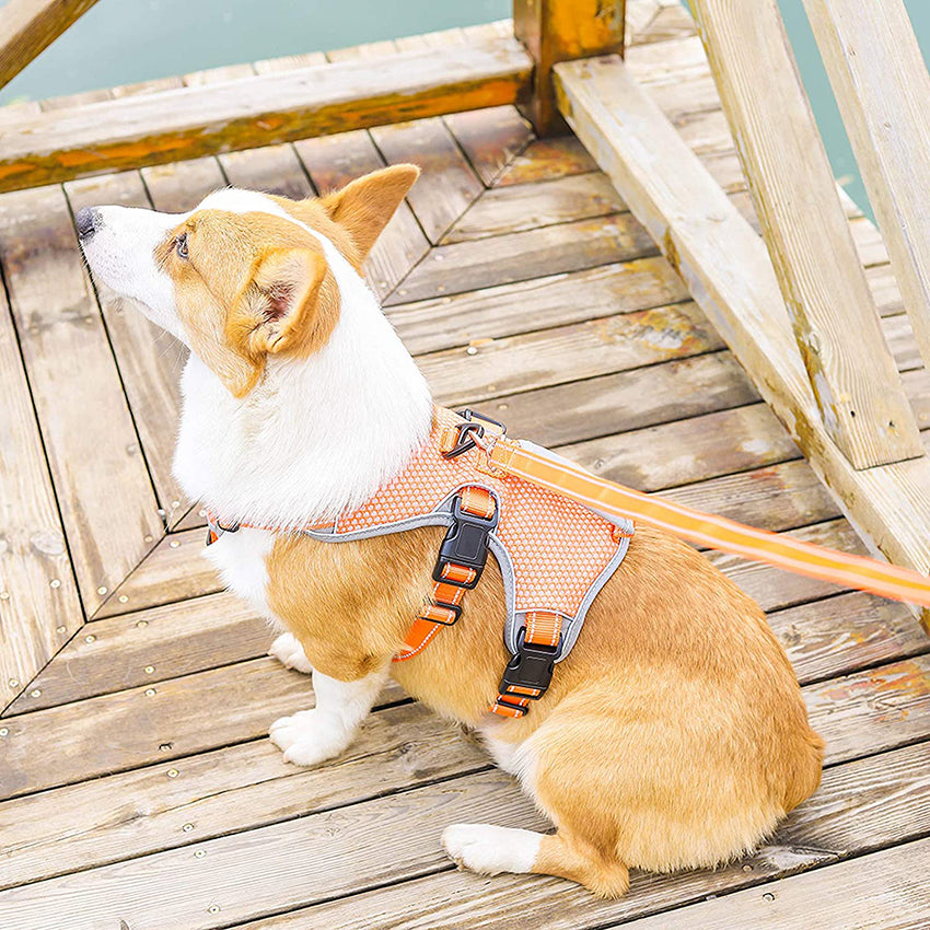 MerryBIY Multi-Use Dog Harness, Escape Proof No-Pull Adjustable Breathable Vest