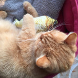 Cat Favor Fish Toy Cat Mint Stuffed Fish Shape Sisal Hemp Cat Scratch Board Scratching Post for Cat Products Pet Supplies