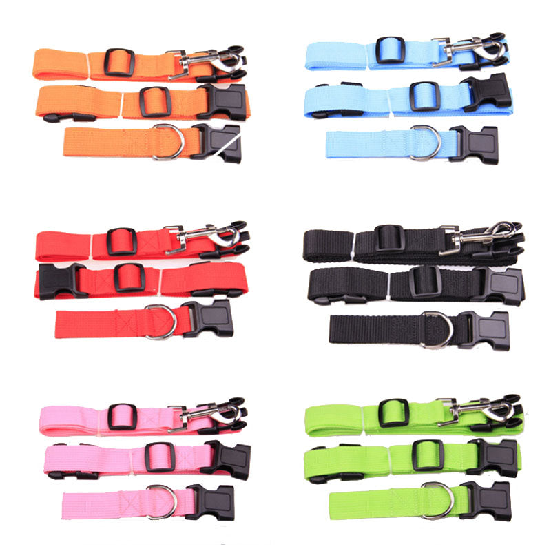Attractive  Beautiful  Colorful Popular Traction Pulling Leash Pet Dog Running Jogging Convenient Safe Fashional  Goods for pets